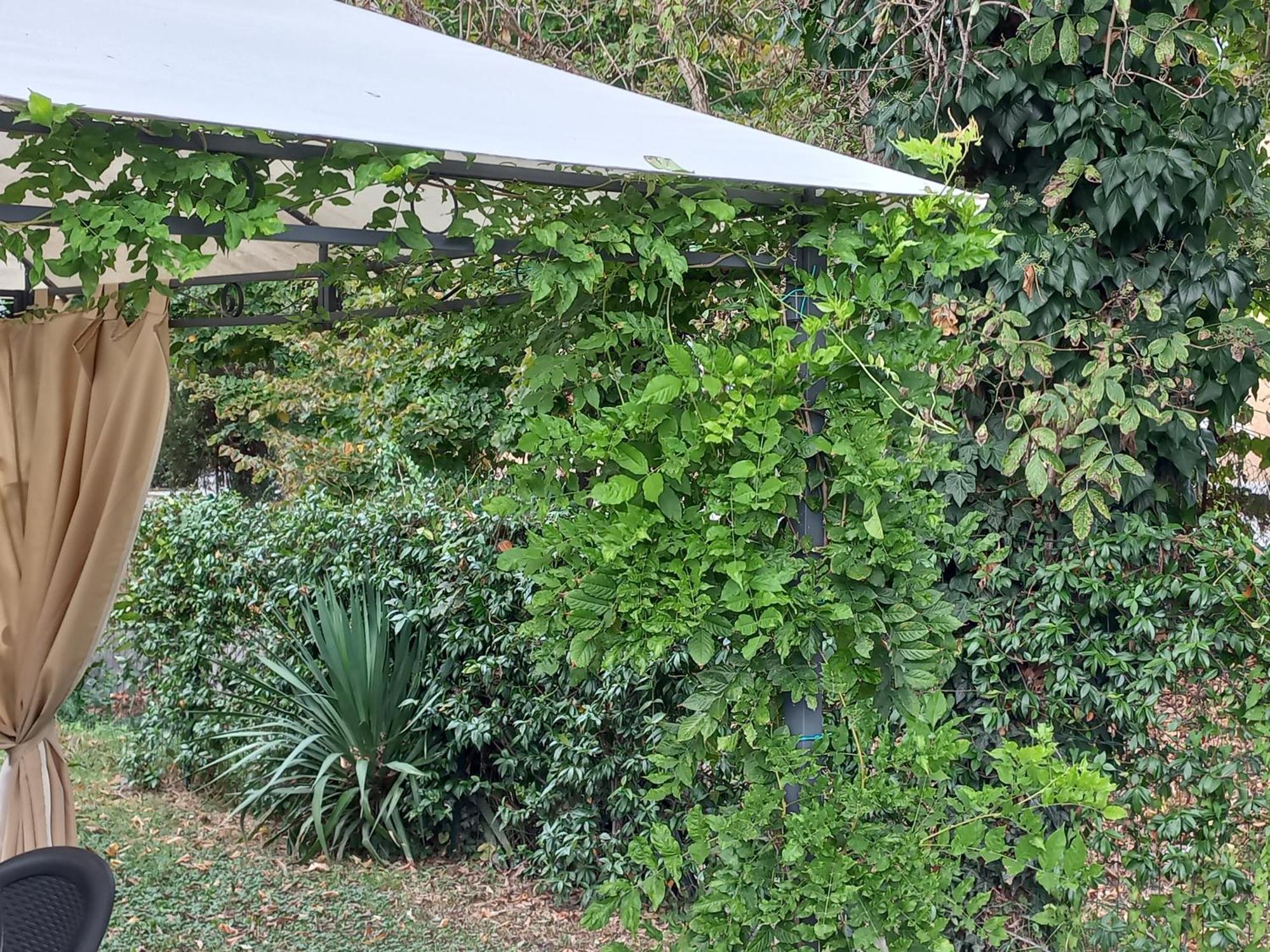 Appartamento Le Magnolie 2 Mestre Zewnętrze zdjęcie