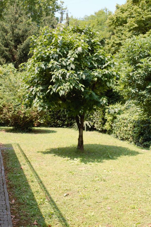 Appartamento Le Magnolie 2 Mestre Zewnętrze zdjęcie