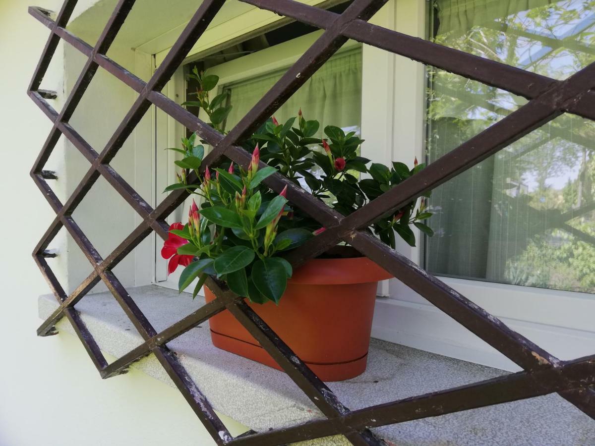 Appartamento Le Magnolie 2 Mestre Zewnętrze zdjęcie